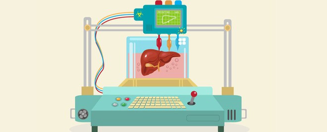  Điều gì sẽ xảy ra khi chúng ta có thể in 3D các nội tạng trong cơ thể? 