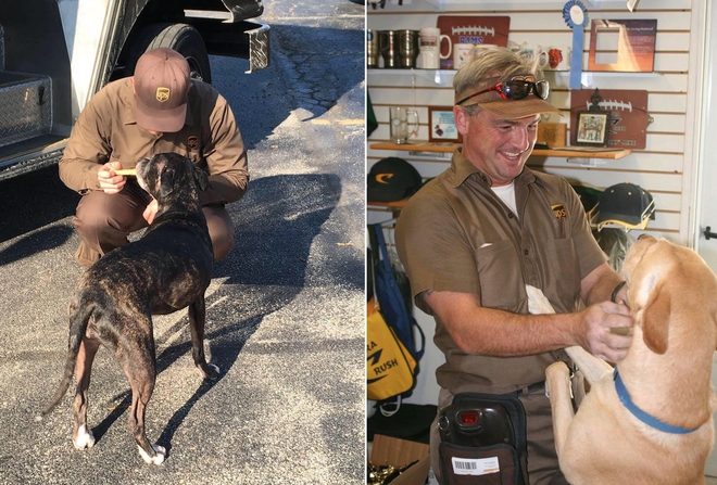 
Những hình ảnh trên trang UPS DOGS cho thấy có cả một cộng đồng tài xế và người dùng Facebook thật sự yêu và tôn trọng loài vật 4 chân trung thành của con người
