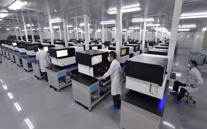  Tại sao trung tâm nghiên cứu gen lớn nhất thế giới của Trung Quốc lại nằm trong một nhà máy giày? 