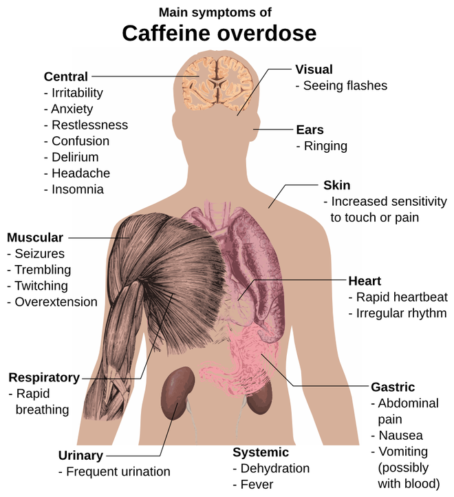  Một số triệu chứng ghi nhận trên cơ thể do sử dụng nhiều caffeine quá mức cho phép (thường đối với người lớn là không quá 400 mg/ngày; trong khi với người trẻ không quá 100 mg/ngày) 