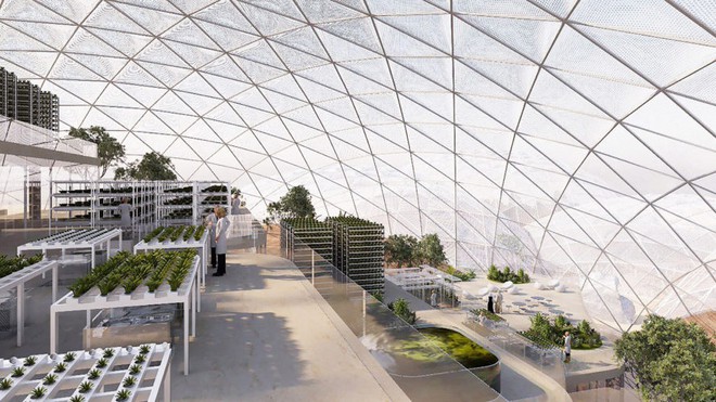  Những khu nhà mái vòm sẽ giúp các nhà khoa học thử nghiệm các phương pháp trồng trọt mới. 