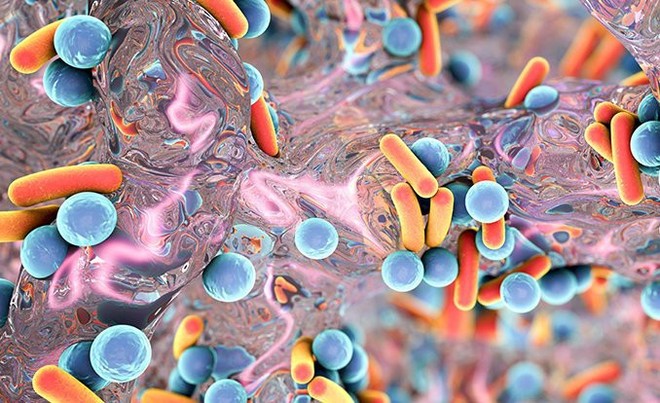  Các nhà khoa học tìm ra một tác dụng phụ mới của kháng sinh, làm suy giảm hệ miễn dịch 
