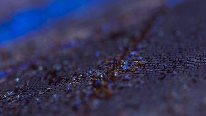  Những tế bào quang điện dựa vào cấu trúc nano trong cánh loài bướm xanh Morpho Didius 