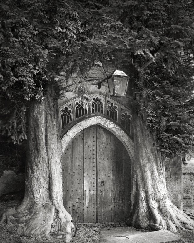 
Trong ảnh là hai cây thủy tùng uy nghi trấn giữ trước ngôi chùa ở Stow-on-the-Wold, Gloucestershire. Chúng được cho là được trồng vào khoảng thế kỷ 18 và vẫn đứng vững, là lối vào của một nhà thờ ở tây nam nước Anh.

