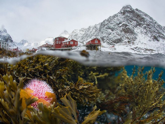  Đảo Lofoten, Na Uy hiện ra một cách vô cùng độc đáo và tự nhiên dưới góc máy của nhiếp ảnh gia Sergey Lukankin 