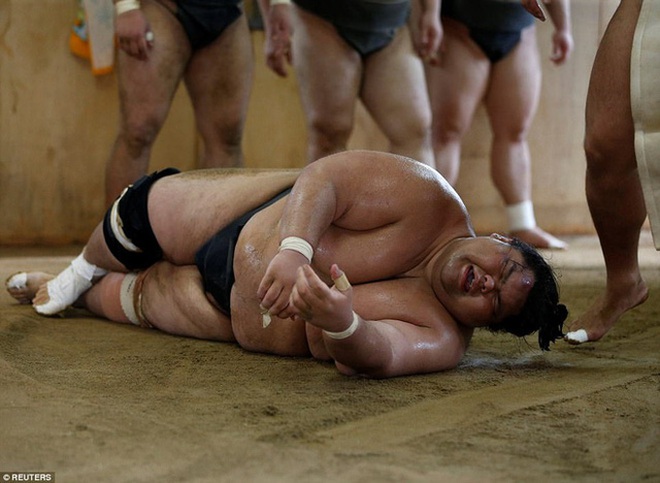 
Những bức hình đã khắc họa cuộc sống của những võ sĩ sumo tại Nagoya, Nhật Bản.
