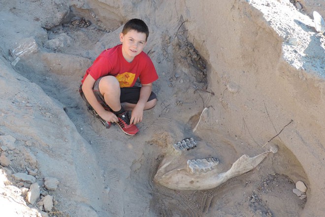  Cậu bé Jude Sparks - người tình cờ tìm thấy hóa thạch sau cú ngã 
