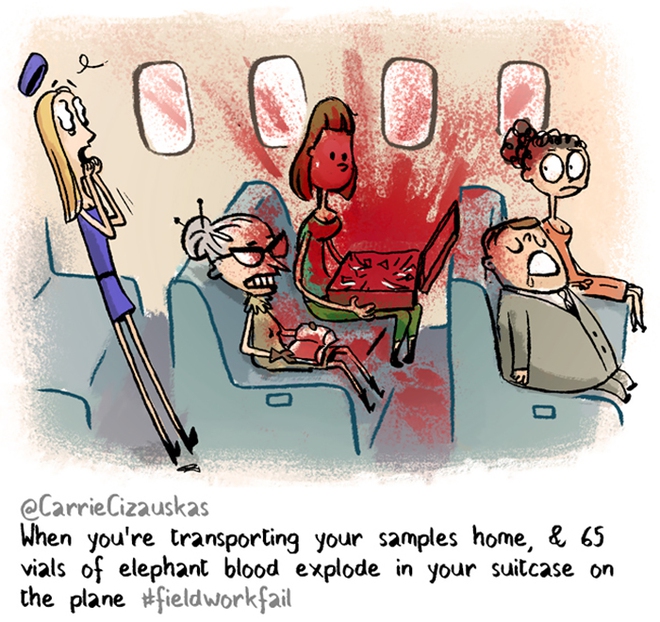  65 ống nghiệm đựng máu voi nổ tung trong vali khi tôi mang chúng về nhà bằng máy bay 