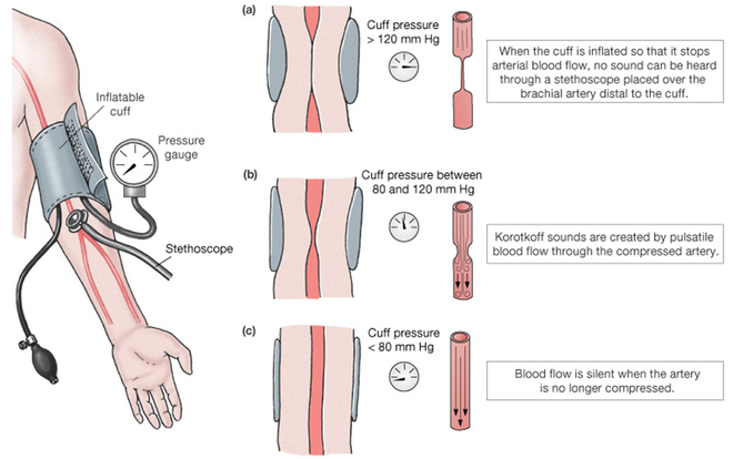  Nguyên lý đo huyết áp 