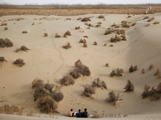  Hình ảnh về vùng sa mạc Taklamakan tại Tân Cương, Trung Quốc... 