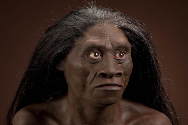  Người “hobbit” Homo Floresiensis. 