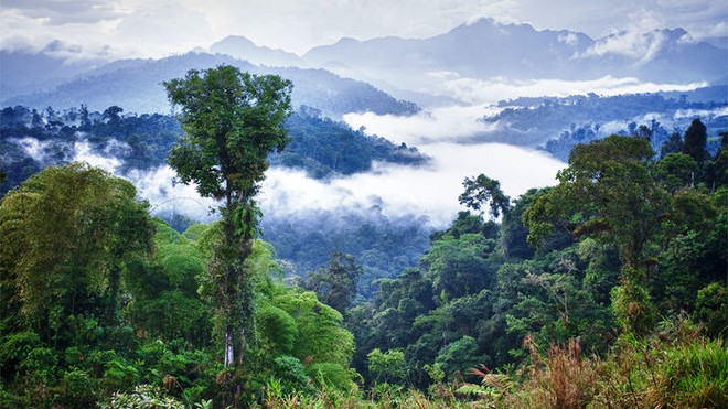  Những đám mây bao quanh rừng Amazon 