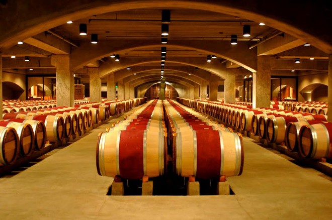  Hầm rượu tưởng chừng như bất tận, những thùng rượu vang được sắp xếp gọn gàng trên một hệ thống giống băng chuyền 