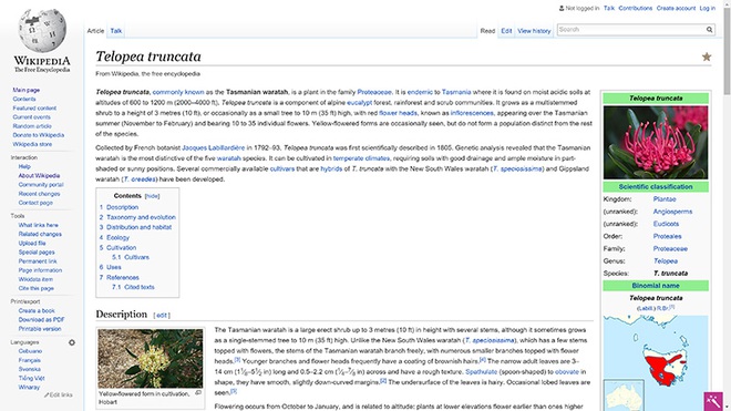  Wikipedia toàn chữ là chữ, nhưng thông tin lại được tìm thấy dễ dàng. 