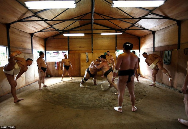 
Tomozuna Oyakata, một võ sĩ sumo người Mông Cổ có buổi tập luyện tại đền Ganjoji Yakushido, Nagoya, Nhật Bản.
