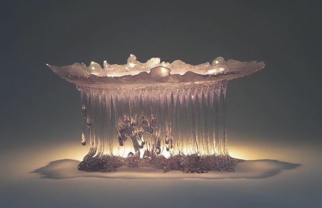  Dưới ánh đèn, trông chúng như những con sứa đầy sức sống 