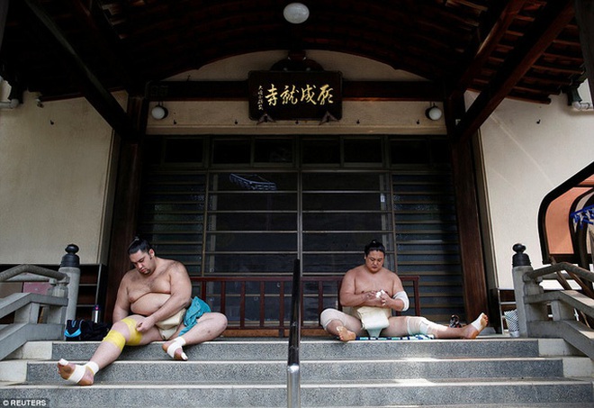 
Võ sĩ sumo người Brazil Kaisei và võ sĩ sumo người Mông Cổ Kyokushuho.
