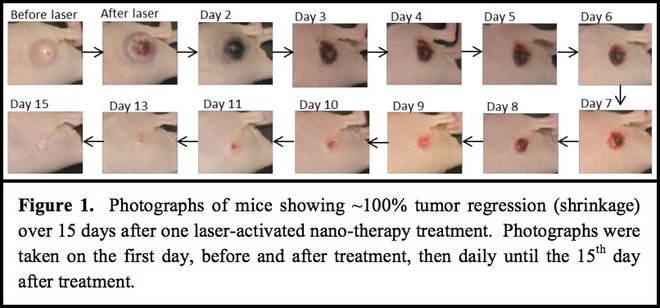 LANT khiến khối u trên chuột biến mất gần như hoàn toàn, sau một lộ trình điều trị kéo dài 15 ngày 