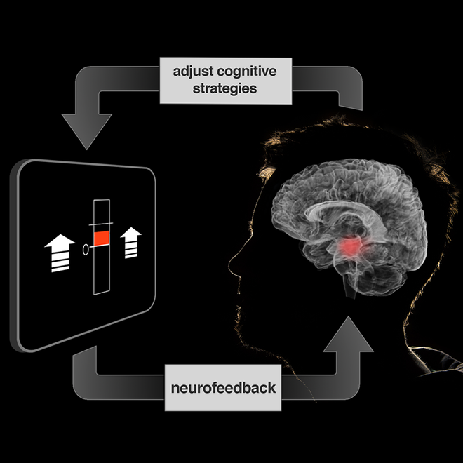 
Một hệ thống fMRI thời gian thực, nơi người tham gia có thể nhìn thấy những gì đang diễn ra trong não bộ mình
