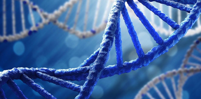  DNA tối trong các loài sinh vật đang nắm giữ nhiều bí ẩn của sự sống? 