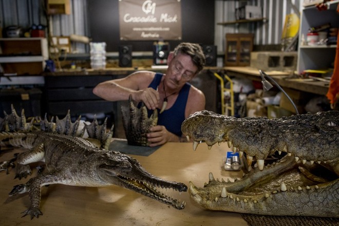  Mick Pitman, một thợ săn và cũng là một người nhồi bông cá sấu. 