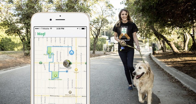Softbank đầu tư 300 triệu USD vào startup cung cấp dịch vụ dắt chó đi dạo - Ảnh 2.