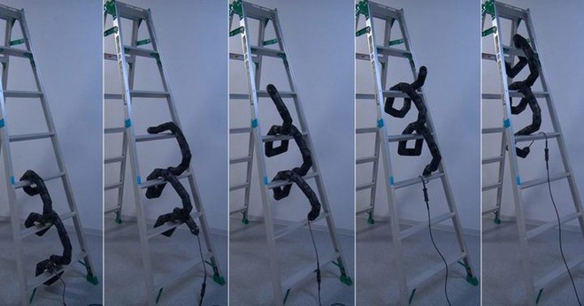 Đến sợ với công nghệ robot ngày nay khi robot rắn có thể leo thang uyển chuyển như rắn thật - Ảnh 1.