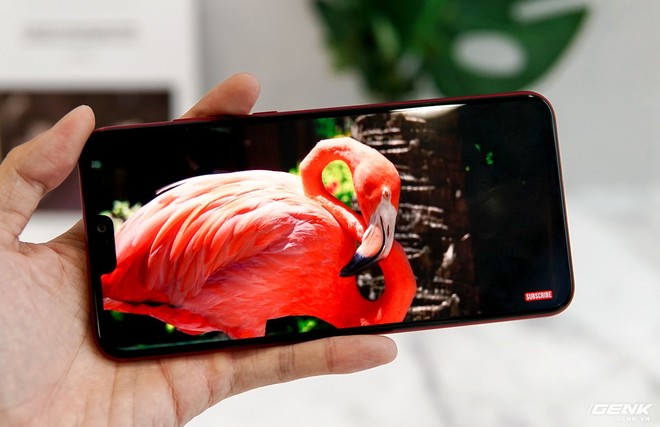 Trên tay Honor 8X tại Việt Nam: Hai màu sắc đẹp mắt, chiến game mượt như flagship, camera kép 20MP xóa phông ảo và hơn thế nữa - Ảnh 12.