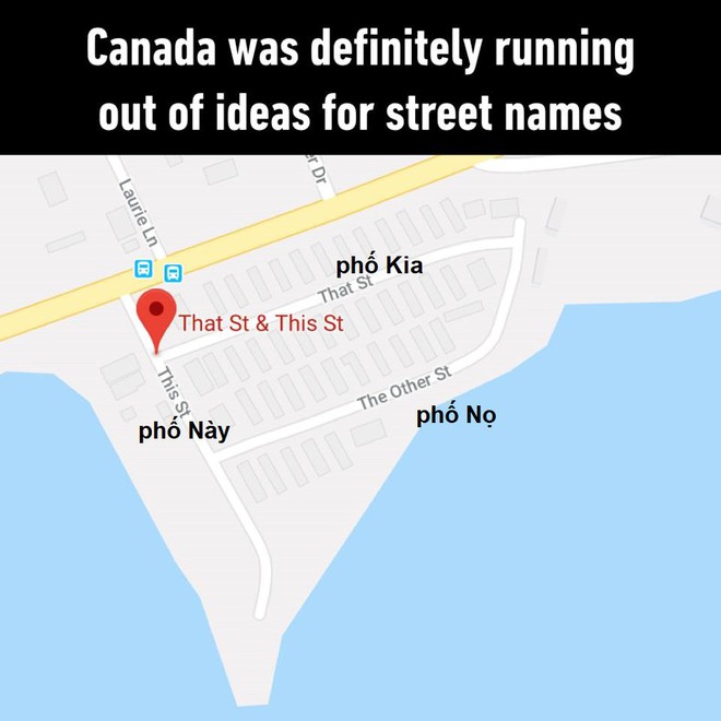 Mở Google Maps lên mà xem Canada đặt tên đường: Phố Này, phố Nọ và phố Kia - Ảnh 1.