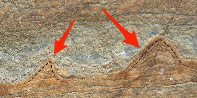 Mảnh hóa thạch có niên đại 3,7 tỉ năm, lâu đời nhất trên Trái Đất có thể chỉ là cục đá nhiều tuổi - Ảnh 2.