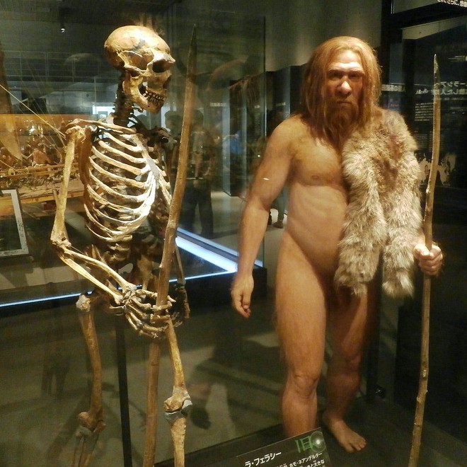Nhờ quan hệ tình dục với người Neanderthal, người hiện đại mới có thể tồn tại tới bây giờ - Ảnh 1.