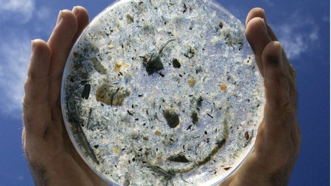 Nghiên cứu đầu tiên chứng minh cơ thể con người chúng ta đã xuất hiện hạt vi nhựa do ăn hải sản bị ô nhiễm - Ảnh 1.
