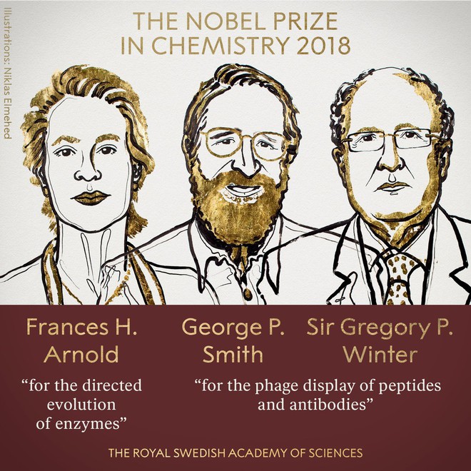 [Giải Nobel 2018] Nghiên cứu chế tạo enzyme mới giành giải Nobel Hóa học - Ảnh 1.