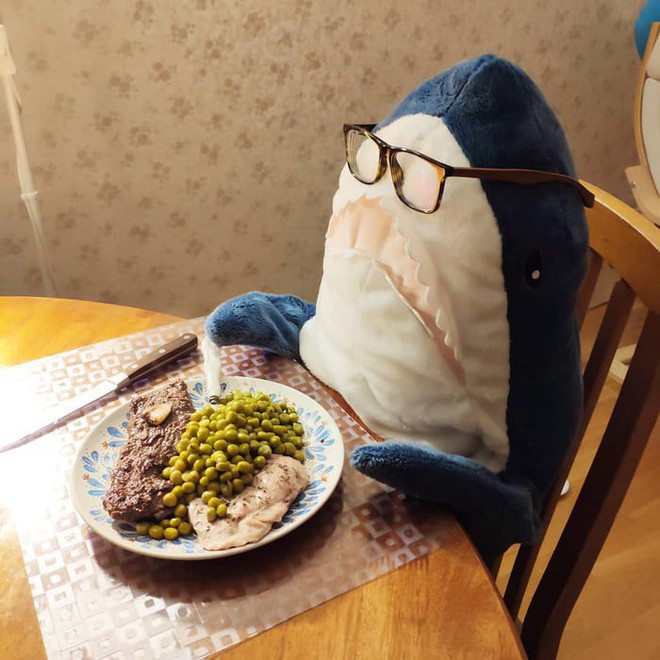 Gặp gỡ Blaha - Chú cá mập nhồi bông đến từ IKEA đang làm náo loạn mạng xã hội thế giới - Ảnh 4.