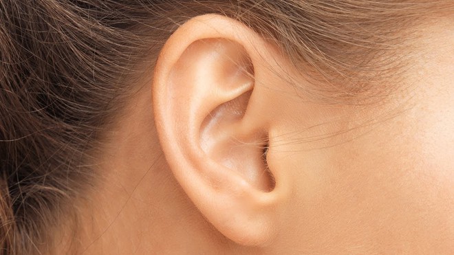 Xác định được loại protein có thể giúp người mất thính lực nghe lại bình thường - Ảnh 2.