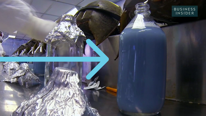 Bạn có tin cái bình nước màu xanh này có giá tới... 300 triệu đồng/lít - Ảnh 1.