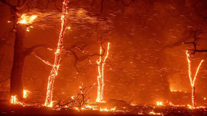 Cháy rừng ở California: Mỗi giây thiêu rụi cả một sân bóng - tại sao lại lan nhanh khủng khiếp đến thế? - Ảnh 3.