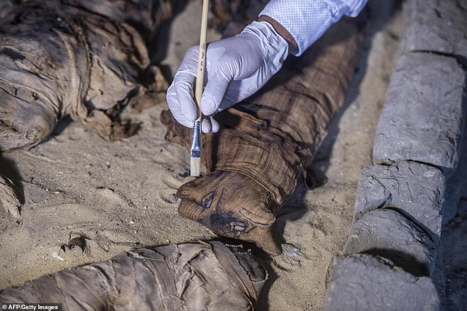 Kỳ lạ: Phát hiện nhiều xác ướp của bọ hung và mèo tại một ngôi mộ Ai Cập cổ đã 4.500 năm tuổi - Ảnh 3.