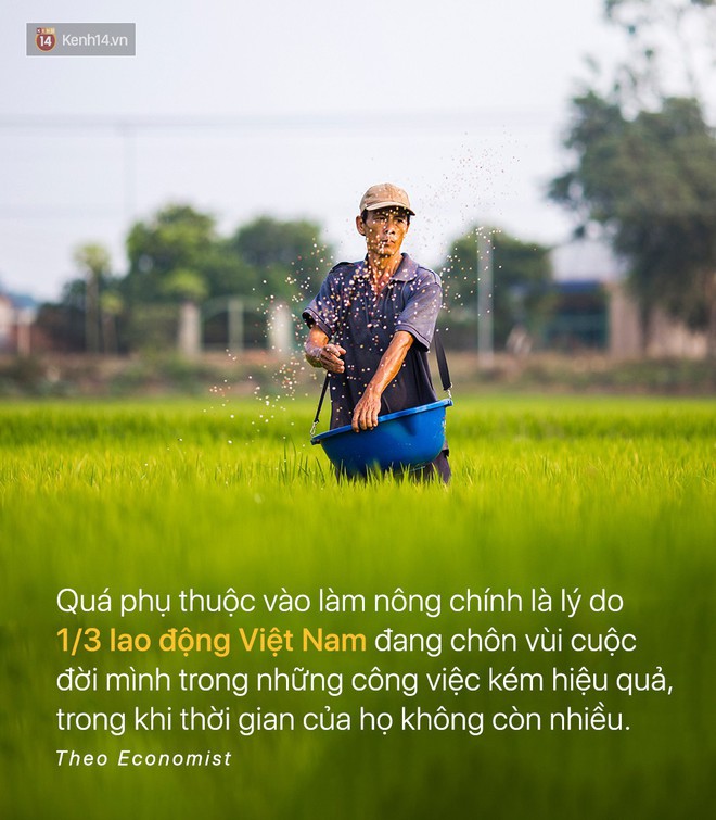 Báo quốc tế đưa tin: Người Việt Nam chưa kịp giàu đã già mất rồi - Ảnh 5.