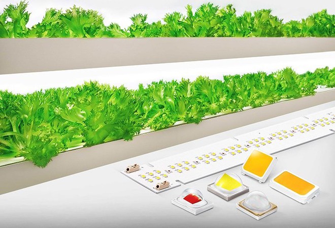 Samsung giới thiệu giải pháp đèn LED chiếu sáng mới dùng cho nông nghiệp sạch - Ảnh 1.
