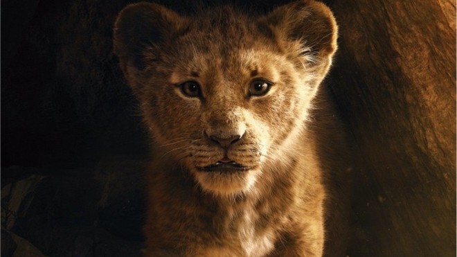 Tại sao The Lion King chẳng có lấy một mống người nhưng vẫn được gọi là phim live-action? - Ảnh 1.