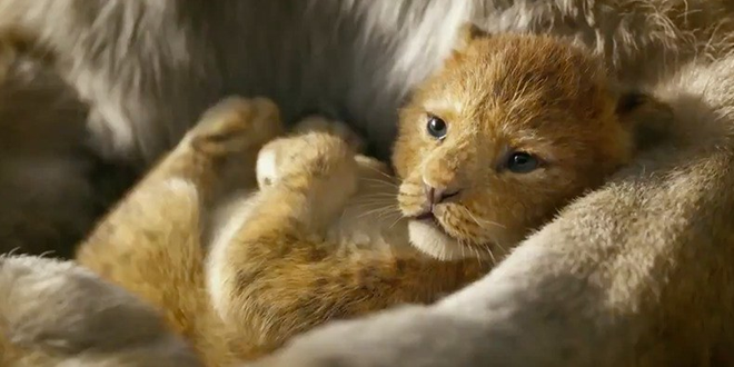 Tại sao The Lion King chẳng có lấy một mống người nhưng vẫn được gọi là phim live-action? - Ảnh 4.