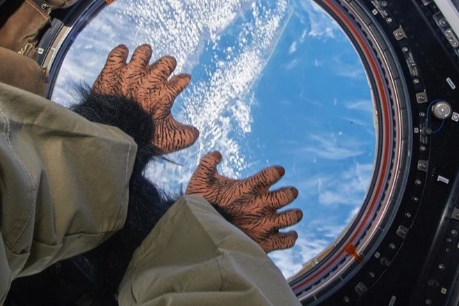 Cận cảnh cuộc sống lơ lửng bên trong trạm vũ trụ quốc tế ISS - Ảnh 8.