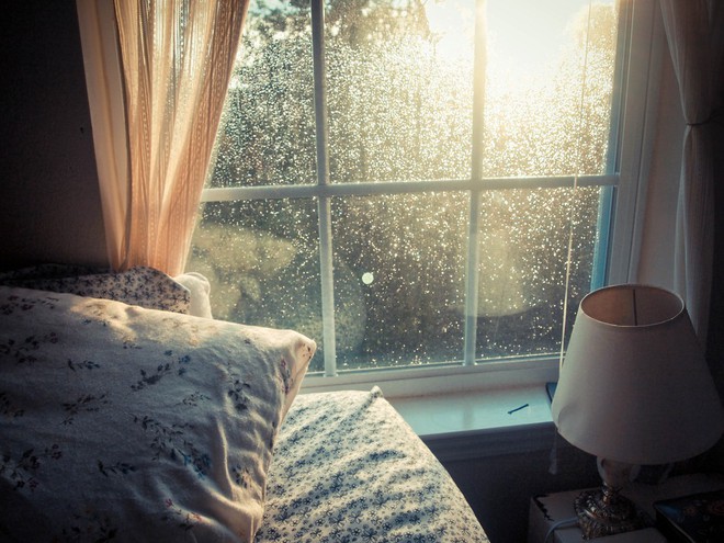 Ánh sáng Mặt Trời sẽ làm giảm lượng vi khuẩn có trong nhà bạn, hãy mở cửa ra để đón nắng! - Ảnh 1.
