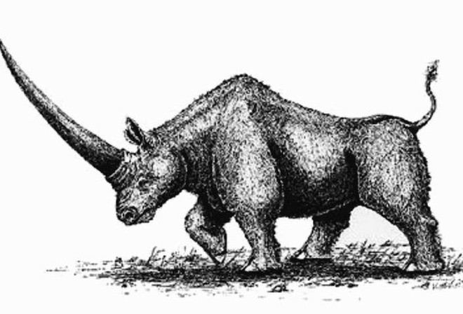 Kỳ lân Siberia - loài tê giác nặng tới 3,5 tấn tuyệt chủng do biến đổi khí hậu, không phải do con người - Ảnh 1.