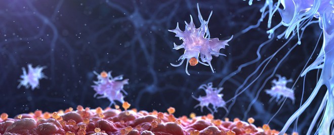 Các nhà khoa học lập trình lại da người, biến chúng thành tế bào tiêu diệt ung thư - Ảnh 2.