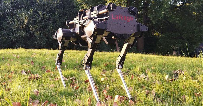 Trung Quốc cái gì cũng làm được, kể cả phiên bản nhái y hệt robot chó SpotMini của Boston Dynamics - Ảnh 5.