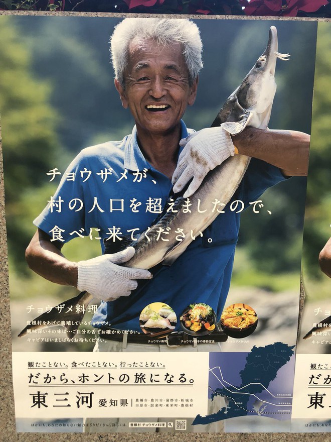 Cá tầm nhiều hơn cả dân: Câu chuyện hài hước và xót xa về ngôi làng già ở Nhật - Ảnh 1.
