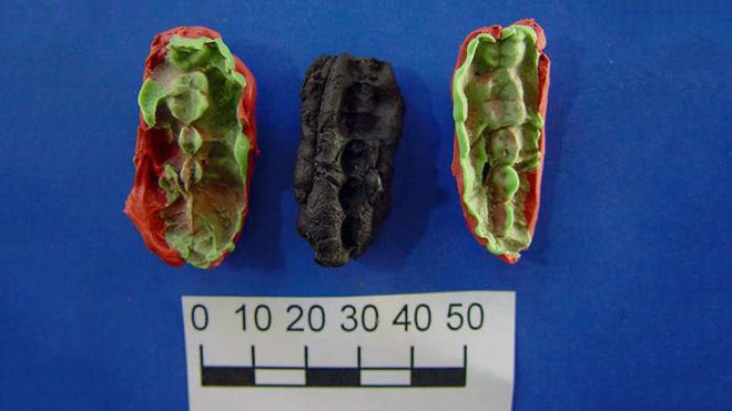 Miếng kẹo cao su 9.500 năm tuổi này có gì thú vị khiến các nhà khoa học nhảy vào nghiên cứu? - Ảnh 1.