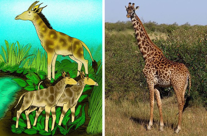 9 loài vật cực quen thuộc này thời xưa lại có ngoại hình dị đến mức không thể tin nổi - Ảnh 3.